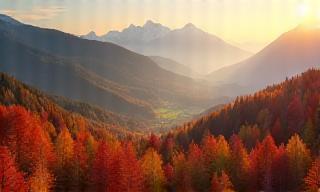 Bunte Herbstlandschaft im österreichischen Nationalpark bei Sonnenaufgang